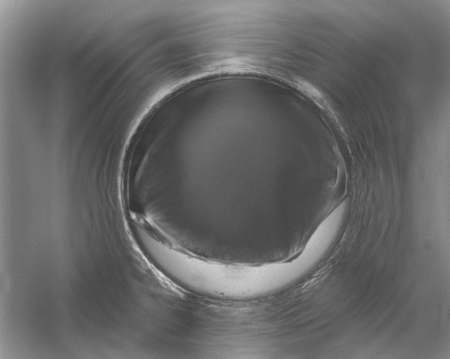 X0000056331334200509232003