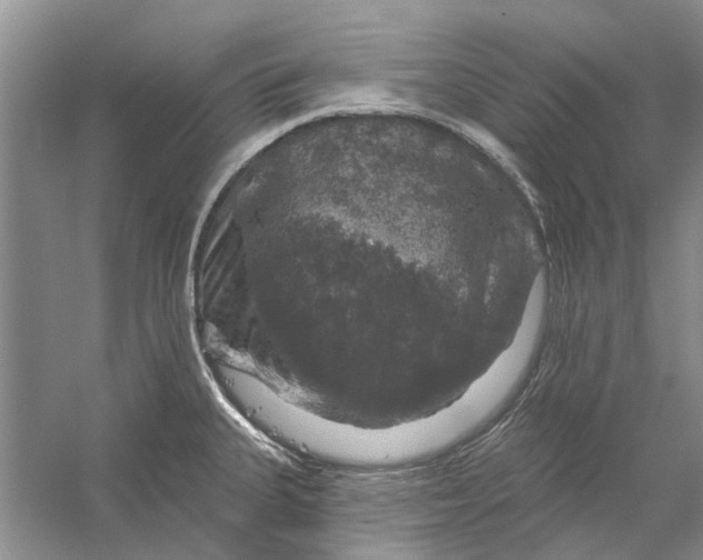 X0000056331335200509232003