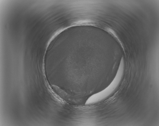 X0000056331336200509232003