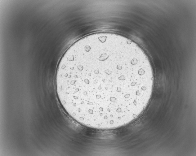 X0000056331338200509232003