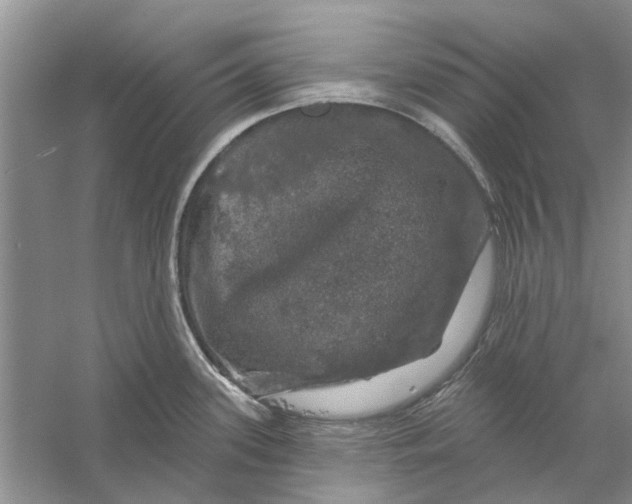 X0000056331339200509232003