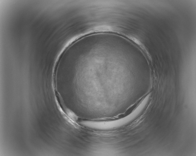 X0000056331342200509232003