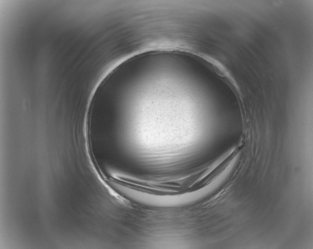 X0000056331343200509232003