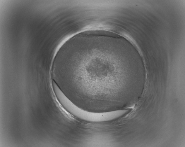 X0000056331344200509232003