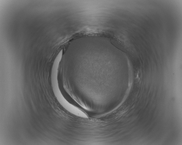 X0000056331348200509232002