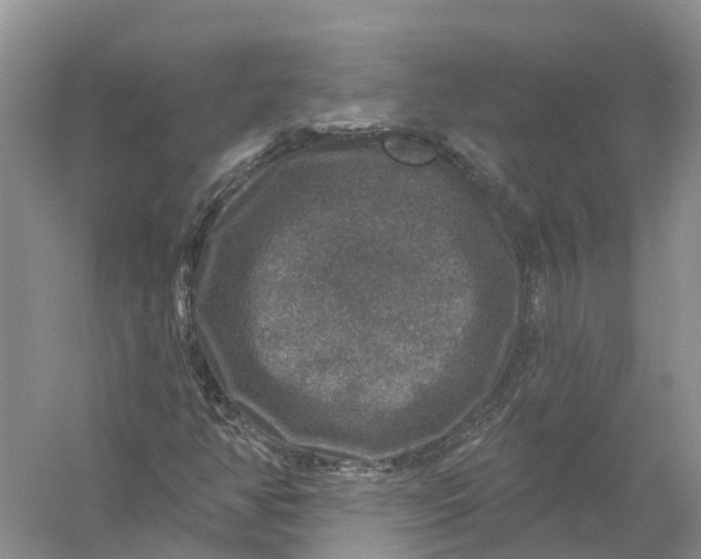 X0000056331350200509232002