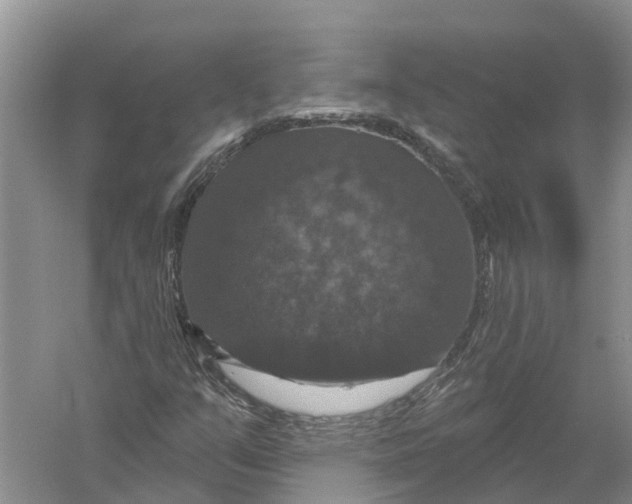 X0000056331351200509232002