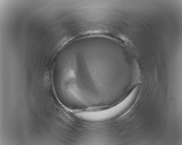 X0000056331353200509232002