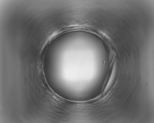 X0000056331357200509232002