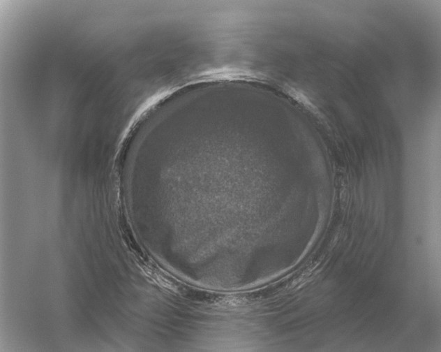 X0000056331358200509232002