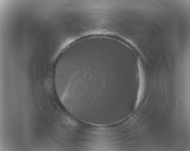 X0000056331359200509232002