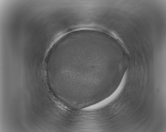 X0000056331360200509232002