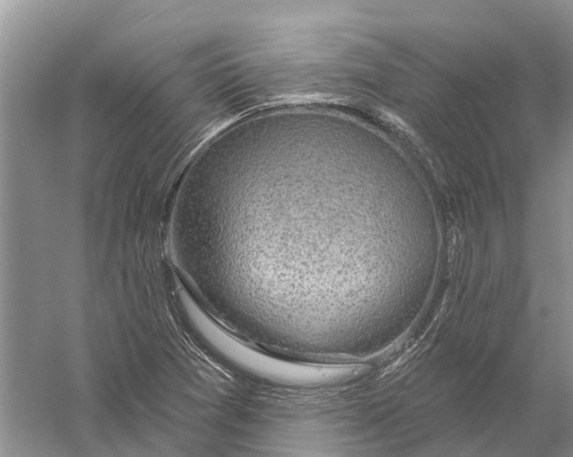 X0000056331361200509232002