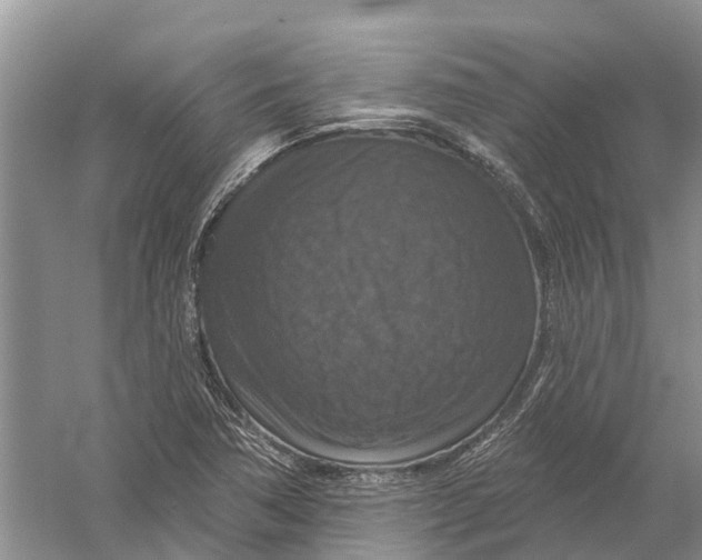 X0000056331362200509232002