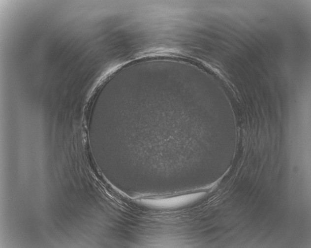 X0000056331363200509232002