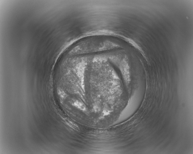 X0000056331364200509232002