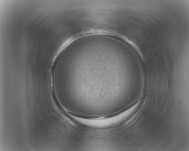 X0000056331365200509232002