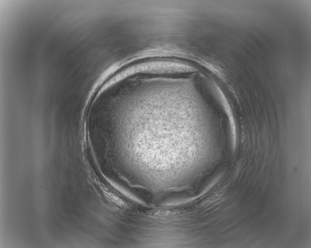 X0000056331366200509232002