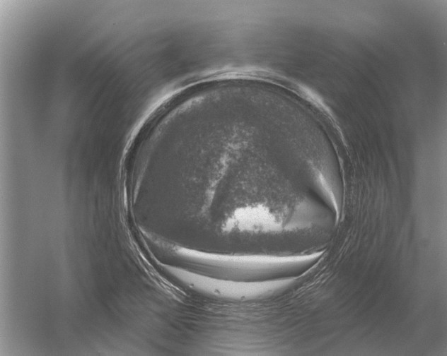 X0000056331368200509232002