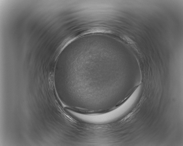 X0000056331369200509232002