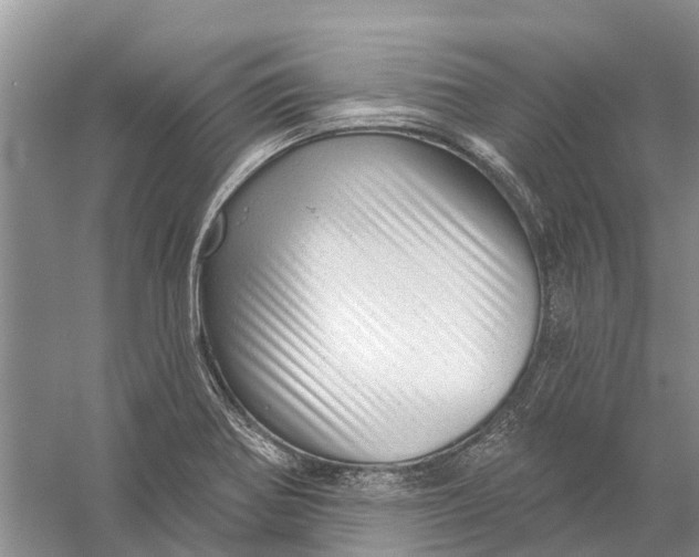 X0000056331370200509232002