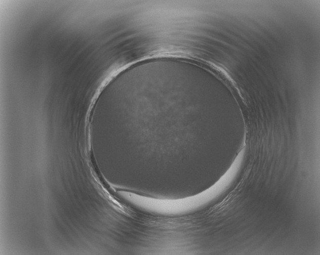 X0000056331371200509232001