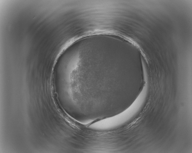 X0000056331373200509232001