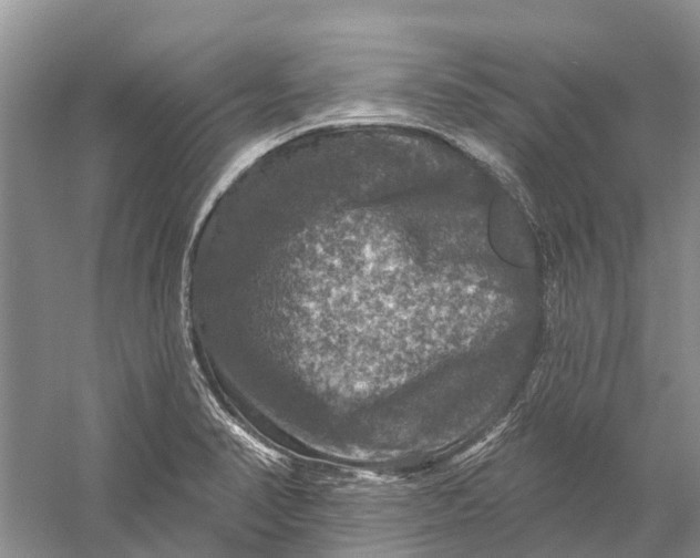 X0000056331374200509232001