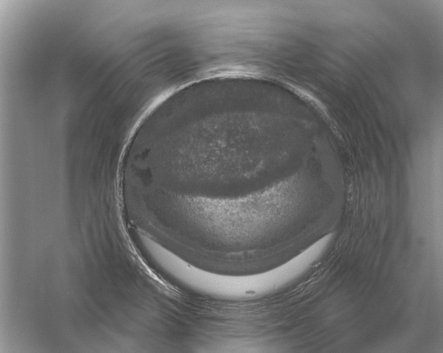 X0000056331375200509232001