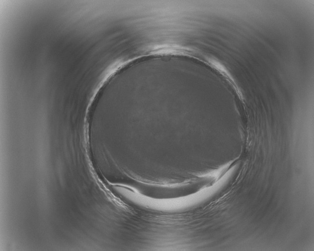 X0000056331376200509232001