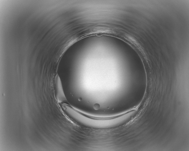 X0000056331377200509232001