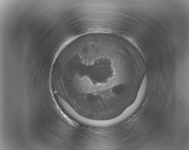 X0000056331379200509232001