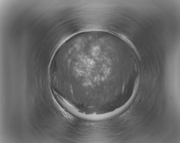 X0000056331380200509232001