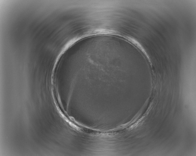 X0000056331381200509232001