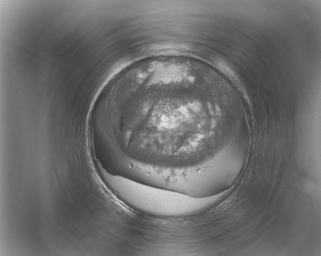 X0000056331384200509232001