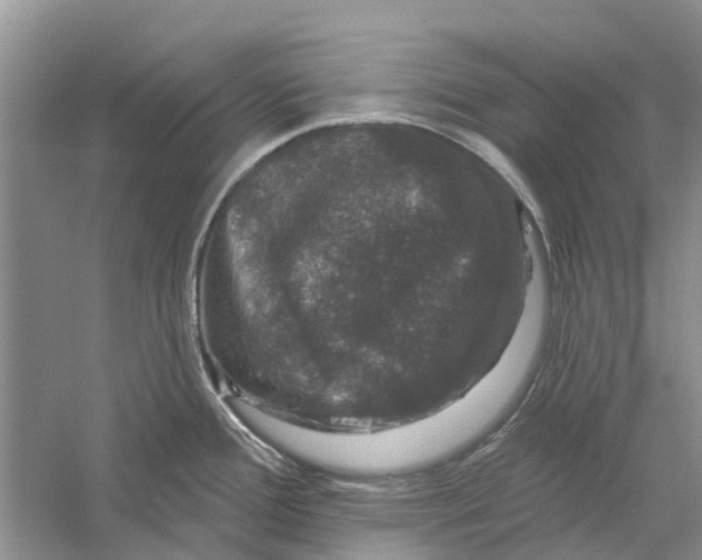 X0000056331388200509232001