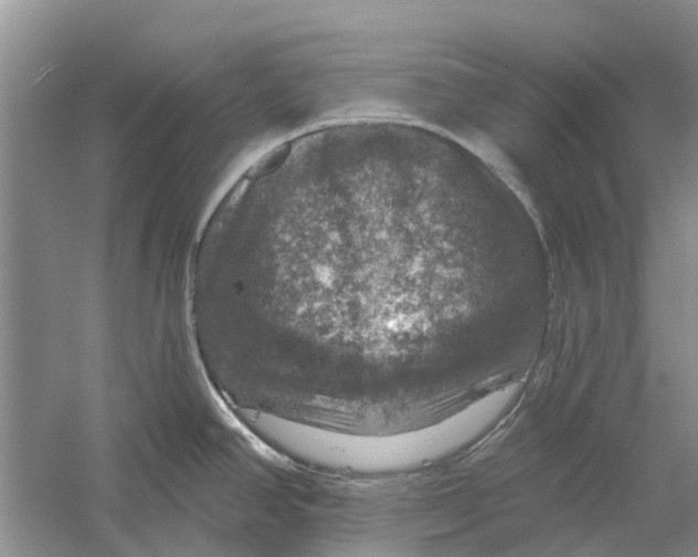 X0000056331390200509232001