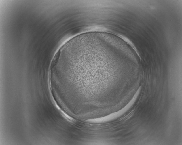 X0000056331391200509232001