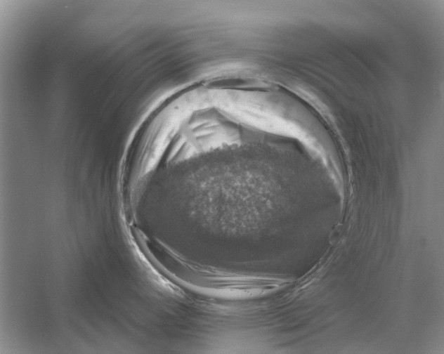 X0000056331392200509232001