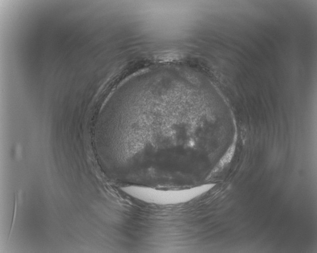 X0000056331393200509232000