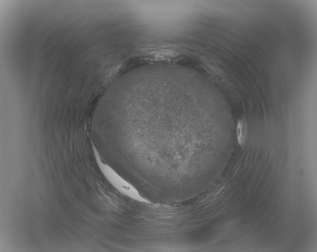 X0000056331395200509232000