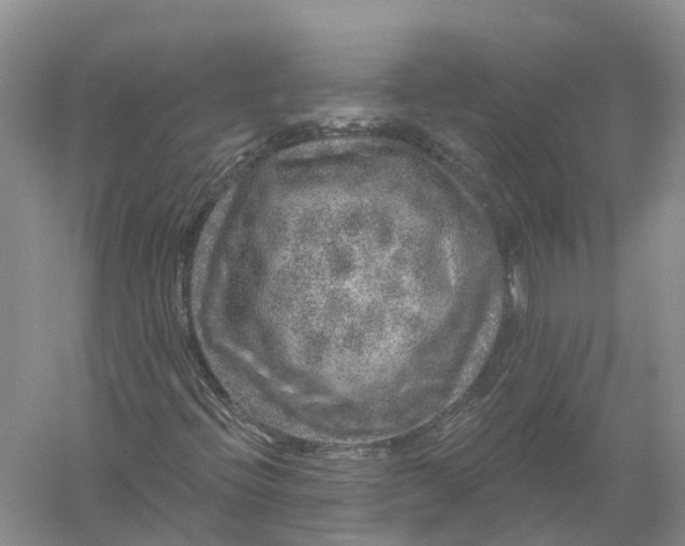 X0000056331396200509232000