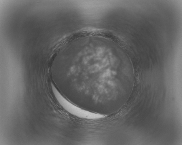 X0000056331397200509232000