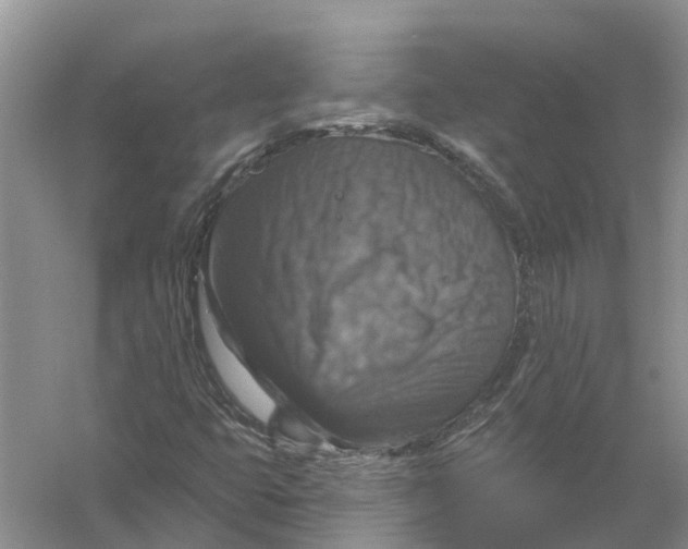 X0000056331399200509232000