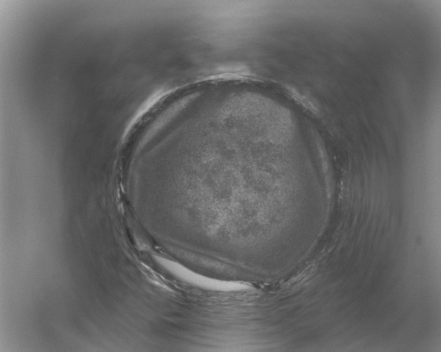 X0000056331400200509232000