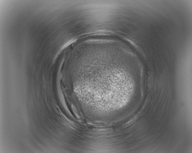 X0000056331402200509232000