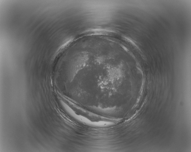 X0000056331403200509232000