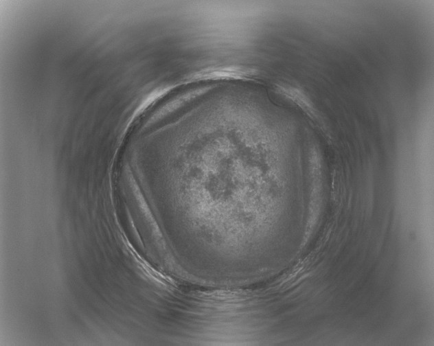 X0000056331404200509232000