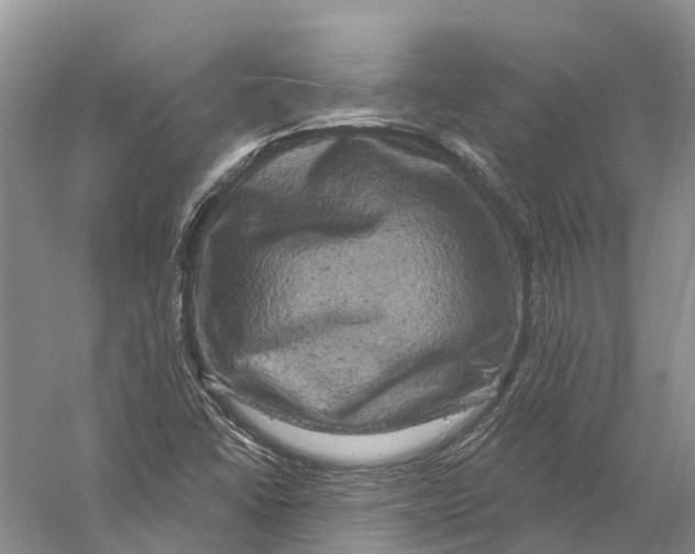 X0000056331406200509232001