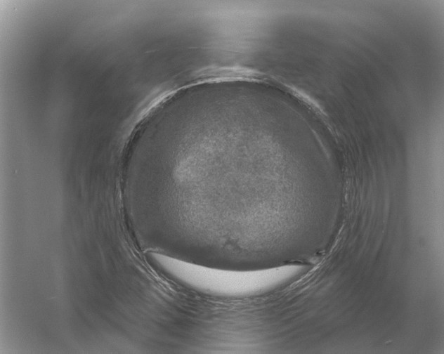 X0000056331407200509232001